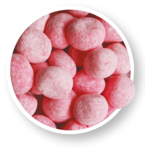 FRAISOO véritable, sachet de 400gr