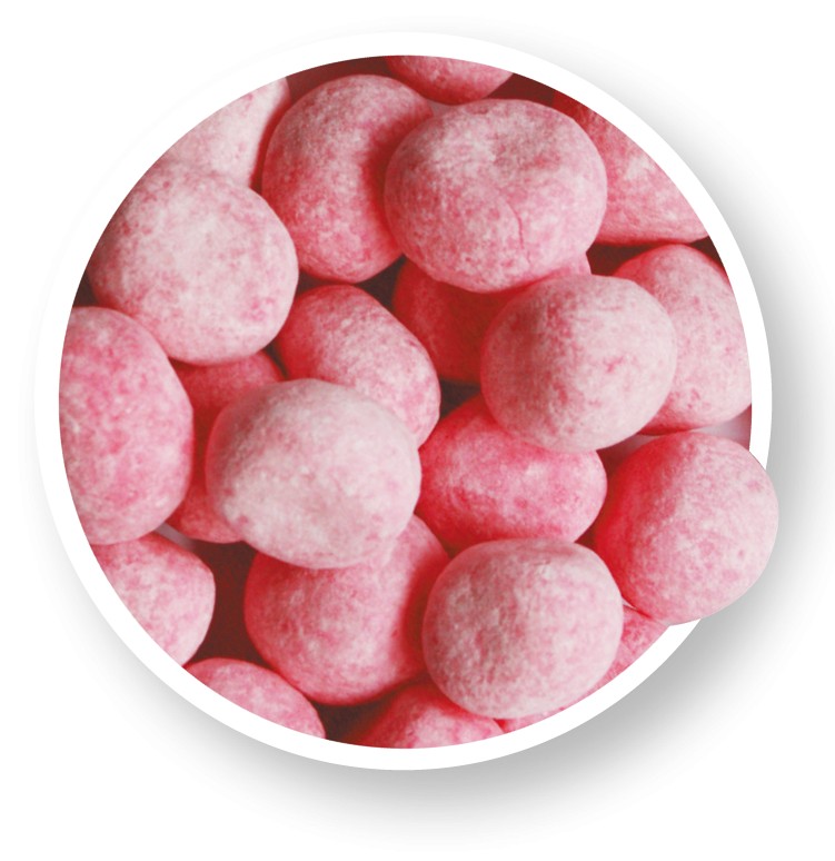 FRAISOO véritable, sachet de 400gr