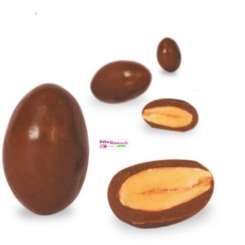 Amandes chocolat lait 310 g Dupleix