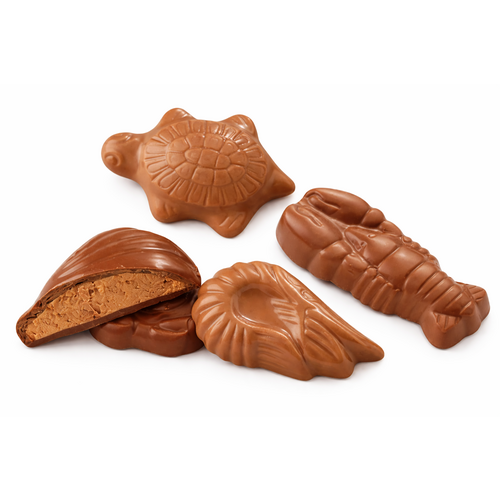 Friture pralinée chocolat au lait Dupleix - Sachet 320 g
